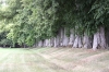 chateaumedavy1