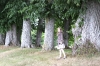 chateaumedavy2
