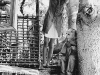 modernkidsblairfamily33