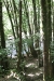 rocheriverhike24