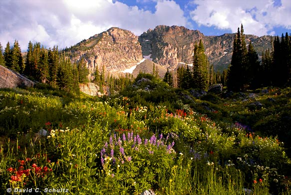 wasatch_68_3262