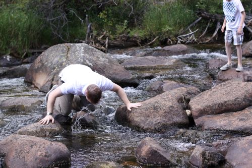 RMNP3