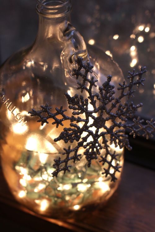 bottle christmas lights twinkle DIY
