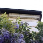 lacressspring_03