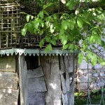 lacressspring_11