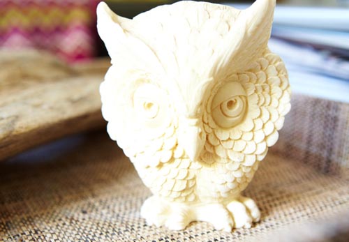 christine owl