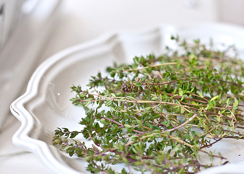 DIYherbs_lemonthyme