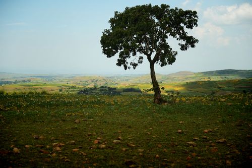 Rural Ethiopia08