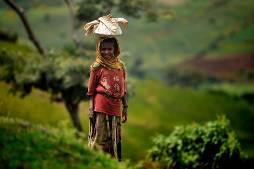 Rural Ethiopia20