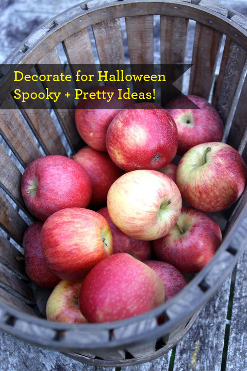 apple votive title