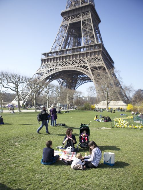 eiffel tower picnic